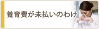 養育費が未払いのわけ