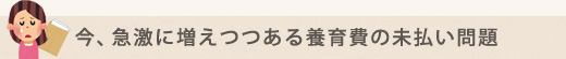 今、急激に増えつつある養育費の未払い問題